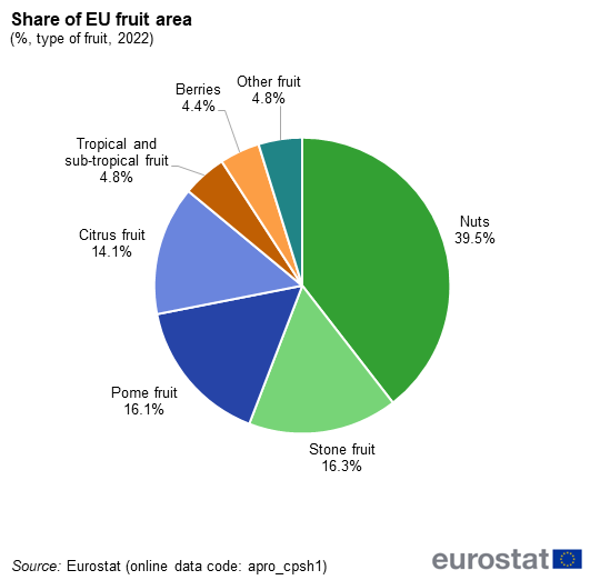 Pie chart showing percentage share of EU fruit area based on type of fruit for the year 2022. Seven segments represent nuts, stone fruit, pome fruit, citrus fruit, tropical and subtropical fruit, berries and other fruit.