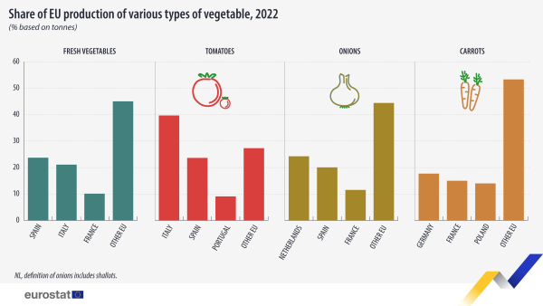 Infographic vertical bar chart showing share of EU production of various types of vegetables as percentage based on tonnes. Four sections for fresh vegetables, tomatoes, onions and carrots each have four columns representing the top three country producers and other EU for the year 2022.