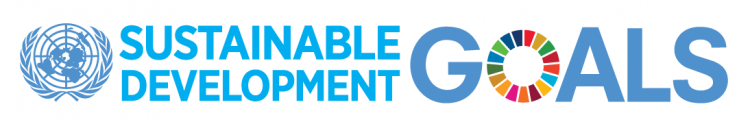 Sustainable development goals banner with UN logo.