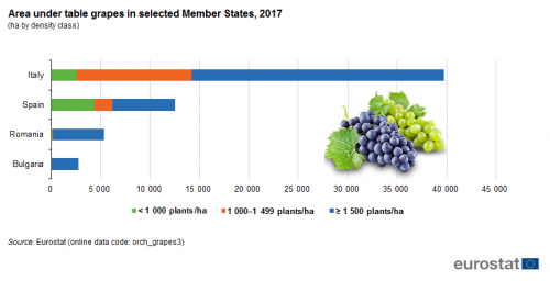 a horizontal bar chart with four bars showing the area under table grapes in selected Member States in 2017, the bars show the countries, Italy, Spain, Romania, Bulgaria.