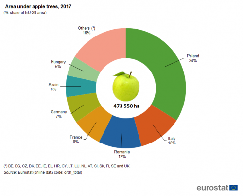 a donut chart showing the area under apple trees in 2017 as a % share of EU-28 area, in Poland, Italy, Romania, France Germany, Spain, Hungary and others.