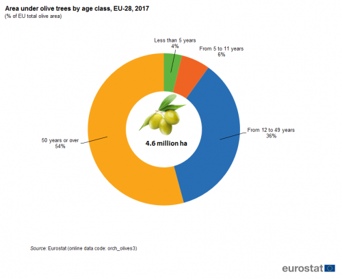 a donut chart showing the area under olive trees by age class in the EU-28 in 2017 as a % of EU total olive area, the segments show the years, less then 5 years, from 5- 11 years, from 12- 49 years, 50 years and over.