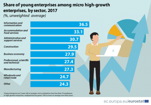 High growth enterprises - visual.png