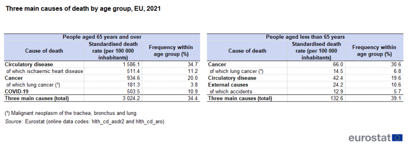 A table showing the three main causes of death. Data are analysed by age group: people aged 65 years and over and those aged less than 65 years. Data are shown for 2021 for the EU. The complete data of the visualisation are available in the Excel file at the end of the article.