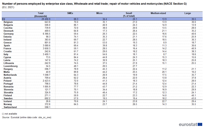 Table showing number of persons employed by enterprise size class, wholesale and retail trade; repair of motor vehicles and motorcycles in the EU, individual Member States, Iceland, Norway and Switzerland for the year 2021.