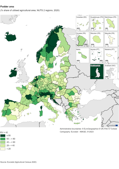 a map showing showing the fodder area as a percentage share in utilised agricultural area, NUTS 2 regions in the year 2020 in the EU and EU Member States.