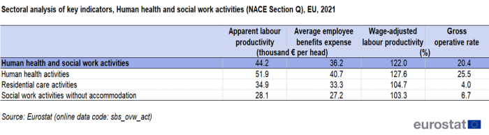 Table showing sectoral analysis of key indicators of human health and social work activities sector in the EU for the year 2021 based on apparent labour productivity, average employee benefits expense, wage adjusted labour productivity and gross operative rate.