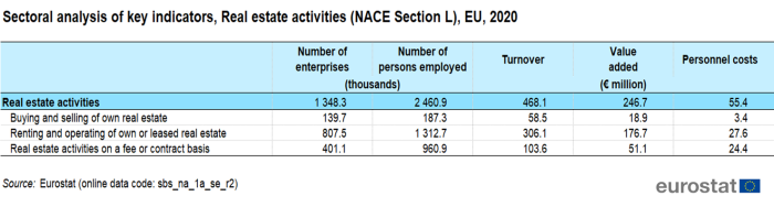 Table showing sectoral analysis of key indicators of real estate activities in the EU for the year 2020.