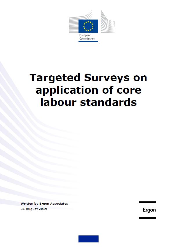 Surveys on the application of core labour standards 