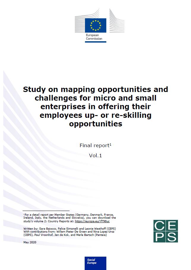 Study on up- and re-skilling in micro and small enterprises