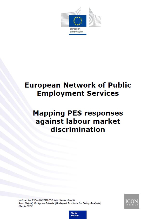 PES Network Publication: Mapping PES responses against labour market discrimination