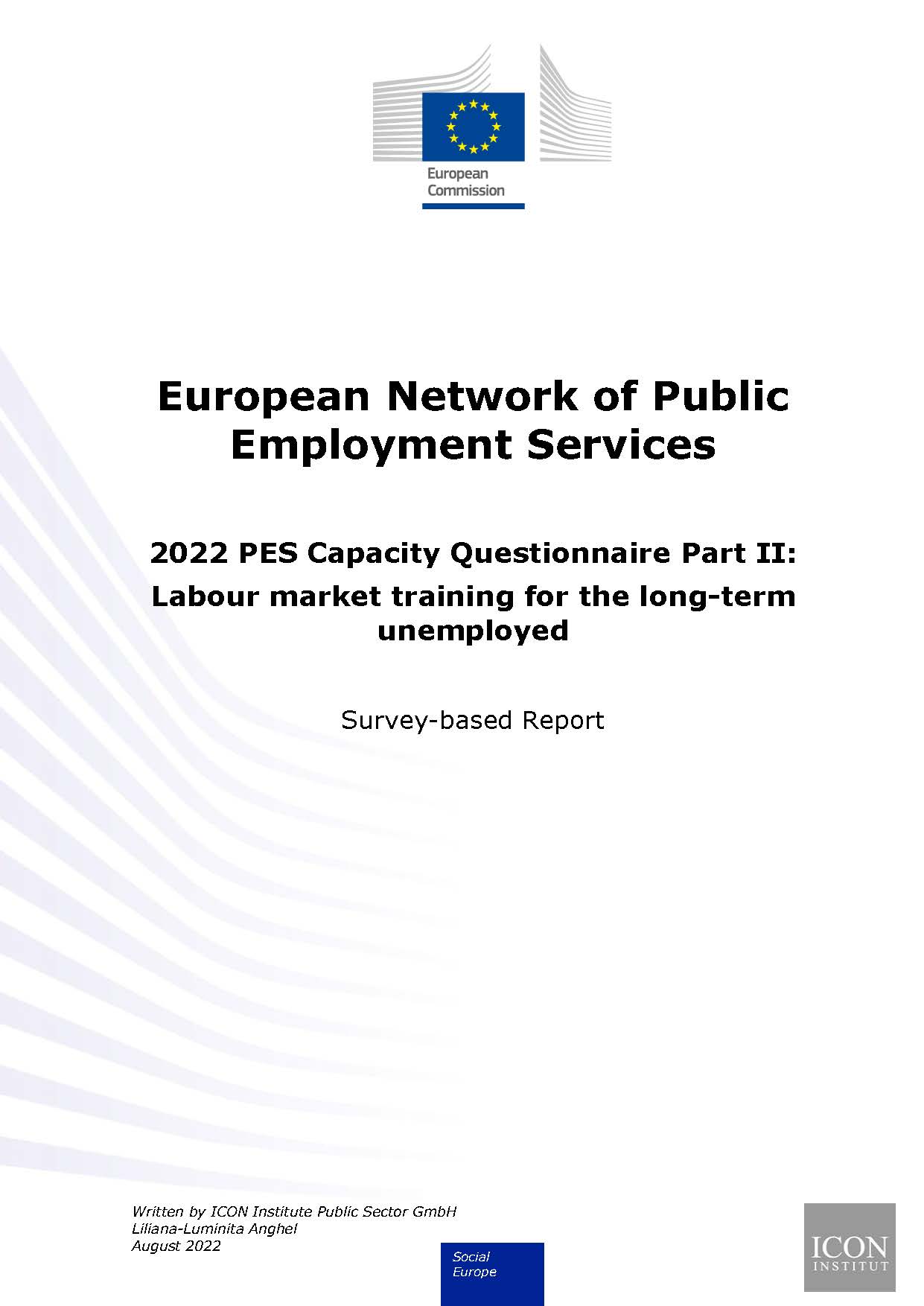 Labour market training for the long-term unemployed (PES capacity Report 2022 Part II)
