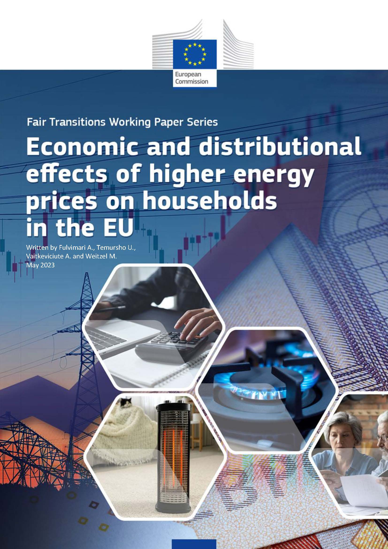 Economic and distributional effects of higher energy prices on households in the EU
