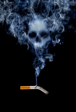 What goes into tobacco products?